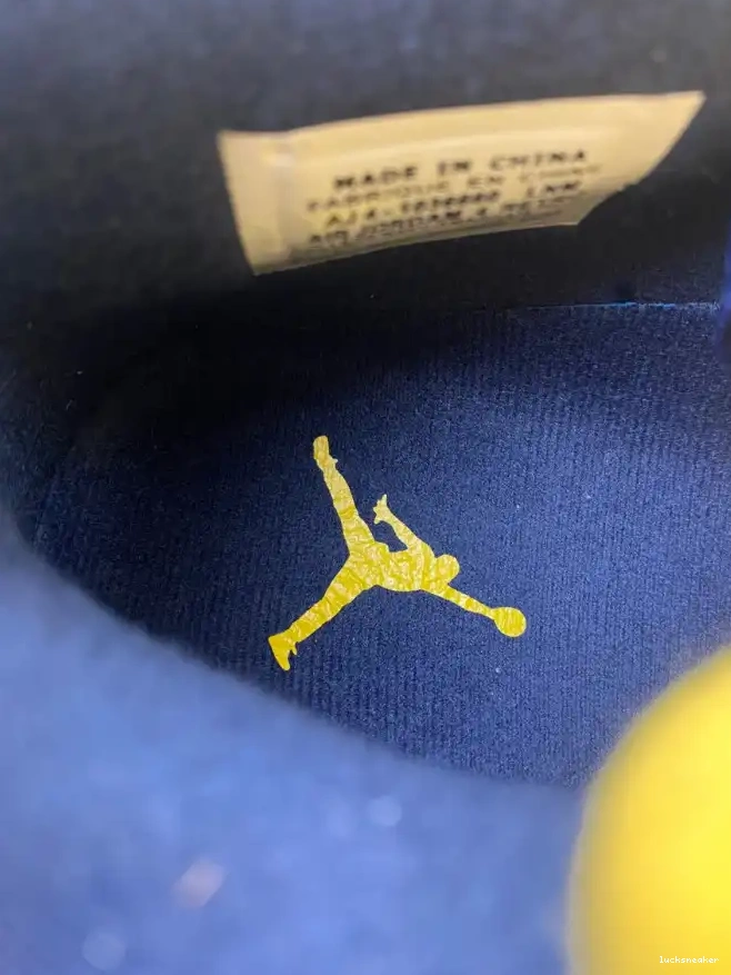 Reps LUCY Air 4 Retro AJ4-1036660 Jordan (PE) Michigan 0612